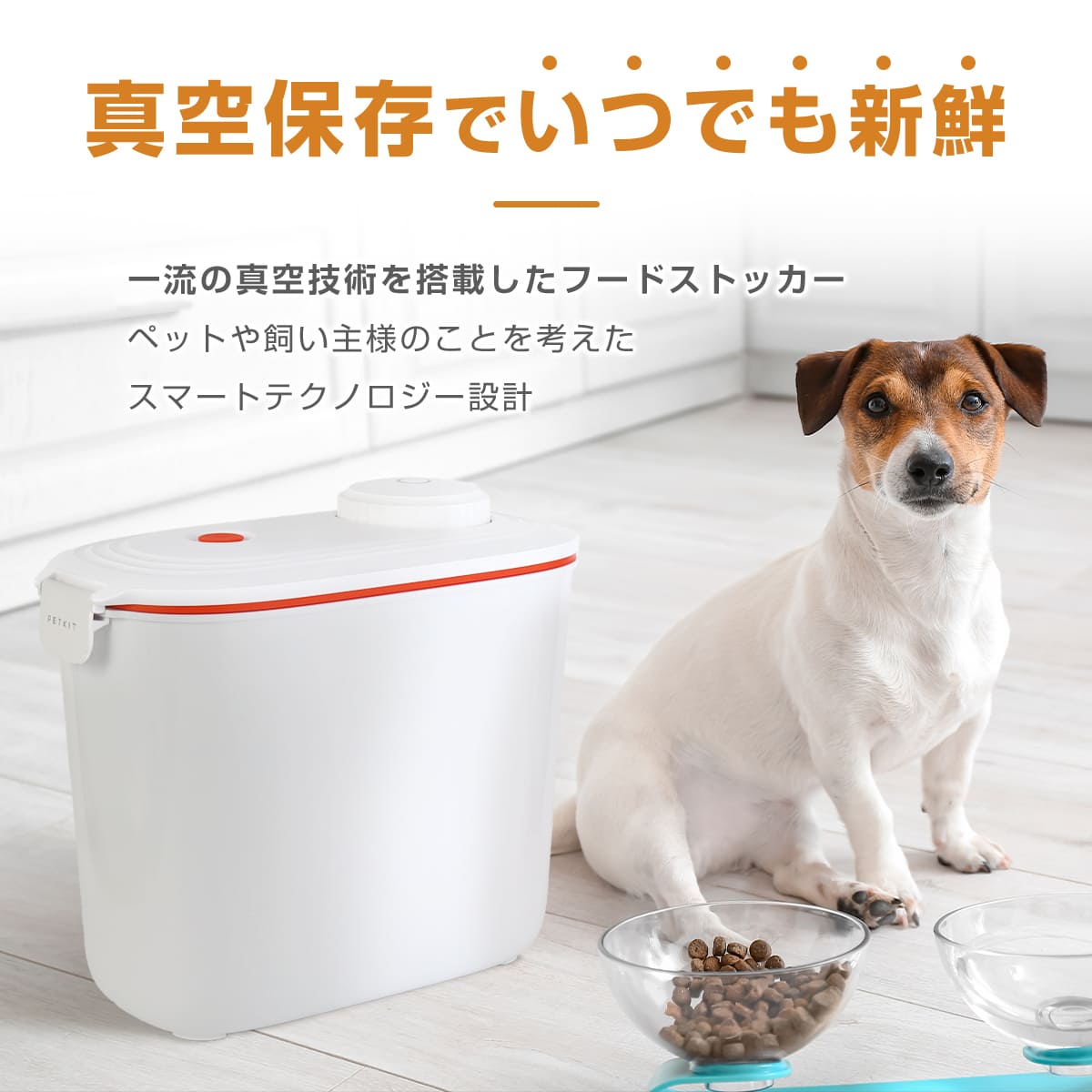 amazon商品画像作成（ペット用品）サンプル