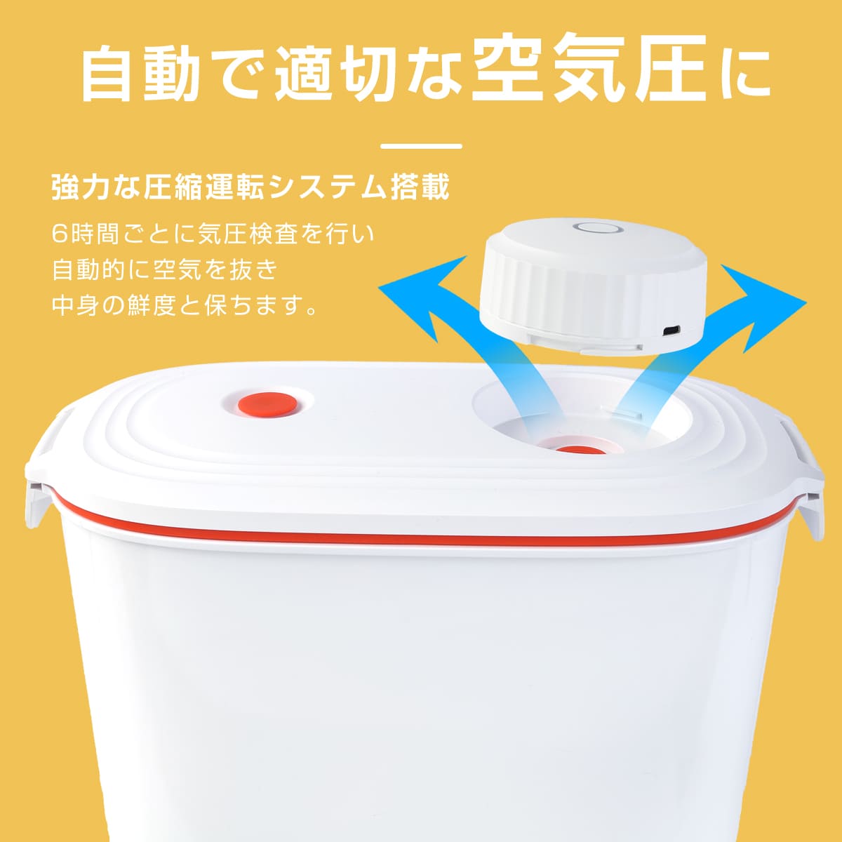 amazon商品画像作成（ペット用品）サンプル