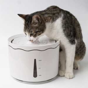 ペット用品撮影写真＋猫写真素材の合成写真